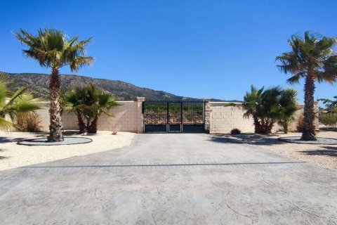 Villa zum Verkauf Pinoso, Alicante, Spanien 4 Schlafzimmer, 315 m2 Nr. 124989 - Foto 4