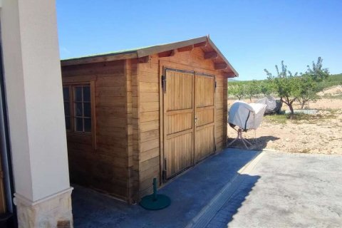Villa zum Verkauf Pinoso, Alicante, Spanien 4 Schlafzimmer, 315 m2 Nr. 124989 - Foto 9