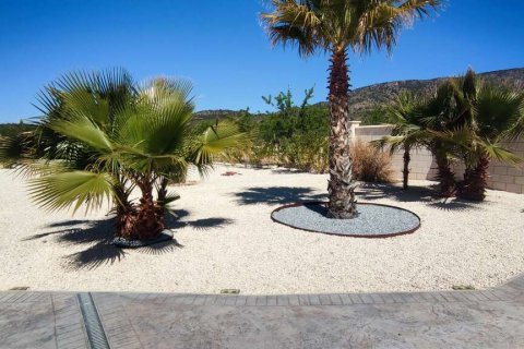 Villa zum Verkauf Pinoso, Alicante, Spanien 4 Schlafzimmer, 315 m2 Nr. 124989 - Foto 7