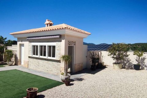 Villa zum Verkauf Pinoso, Alicante, Spanien 4 Schlafzimmer, 315 m2 Nr. 124989 - Foto 19
