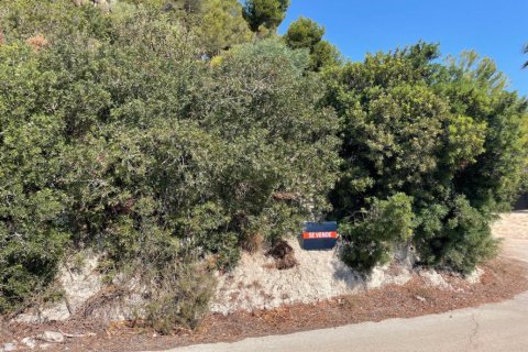 Land plot à vendre Moraira, Alicante, EspagneNo. 122738 - photo 4