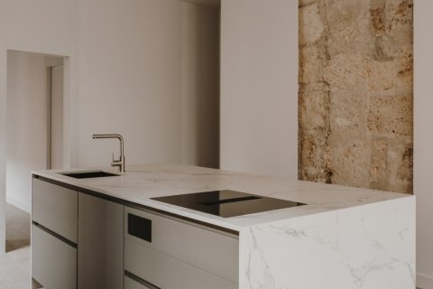 Wohnung zur Miete Palma de Majorca, Mallorca, Spanien 1 Schlafzimmer, 76 m2 Nr. 129487 - Foto 3