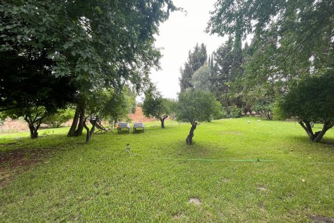 Finca zur Miete Llubi, Mallorca, Spanien 5 Schlafzimmer, 225 m2 Nr. 129489 - Foto 3