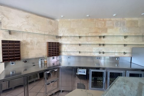 Продажа коммерческой недвижимости Бендинат, Майорка, Испания 70м2 №129488 - фото 6