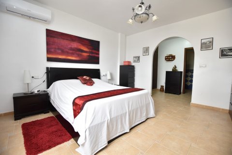 Villa zum Verkauf Algorfa, Alicante, Spanien 3 Schlafzimmer, 271 m2 Nr. 129127 - Foto 30