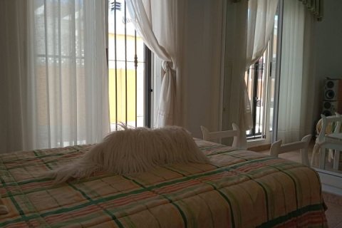 Villa en venta Pilar de la Horadada, Alicante, España 4 dormitorios, 150 m2 No. 125091 - foto 25