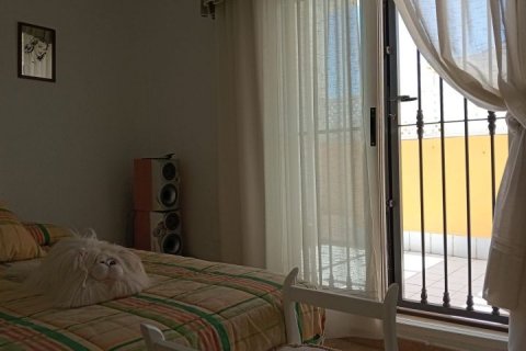 Villa en venta Pilar de la Horadada, Alicante, España 4 dormitorios, 150 m2 No. 125091 - foto 29