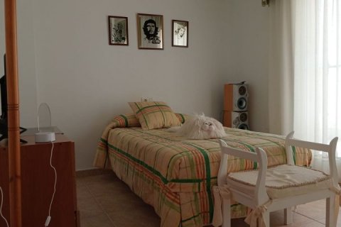 Villa en venta Pilar de la Horadada, Alicante, España 4 dormitorios, 150 m2 No. 125091 - foto 24
