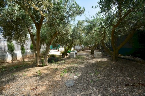 Villa till salu Guardamar del Segura, Alicante, Spanien 4 sovrum, 311 kvm. Nr. 125093 - foto 7