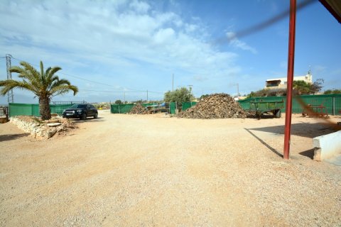 Villa till salu Guardamar del Segura, Alicante, Spanien 4 sovrum, 311 kvm. Nr. 125093 - foto 11