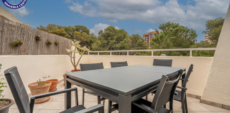 Appartamento Valencia, Spagna 4 camere da letto, 112 mq. N° 132768