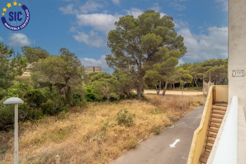 Appartamento in vendita Valencia, Spagna 4 camere da letto, 112 mq. N° 132768 - foto 16
