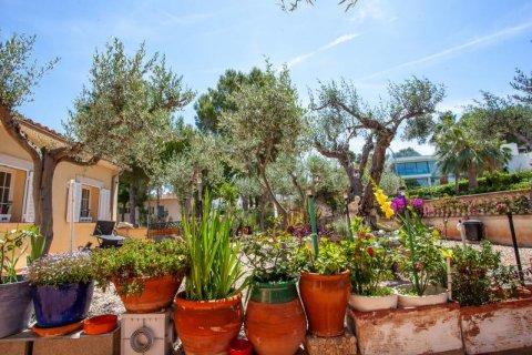 Villa zum Verkauf Santa Ponsa, Mallorca, Spanien 3 Schlafzimmer, 244 m2 Nr. 127026 - Foto 6