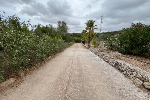 Finca for rent Portol, Mallorca, Spain 3 bedrooms, 430 sq.m. No. 130932 - photo 26
