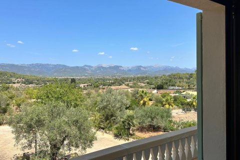 Finca for rent Portol, Mallorca, Spain 3 bedrooms, 430 sq.m. No. 130932 - photo 28