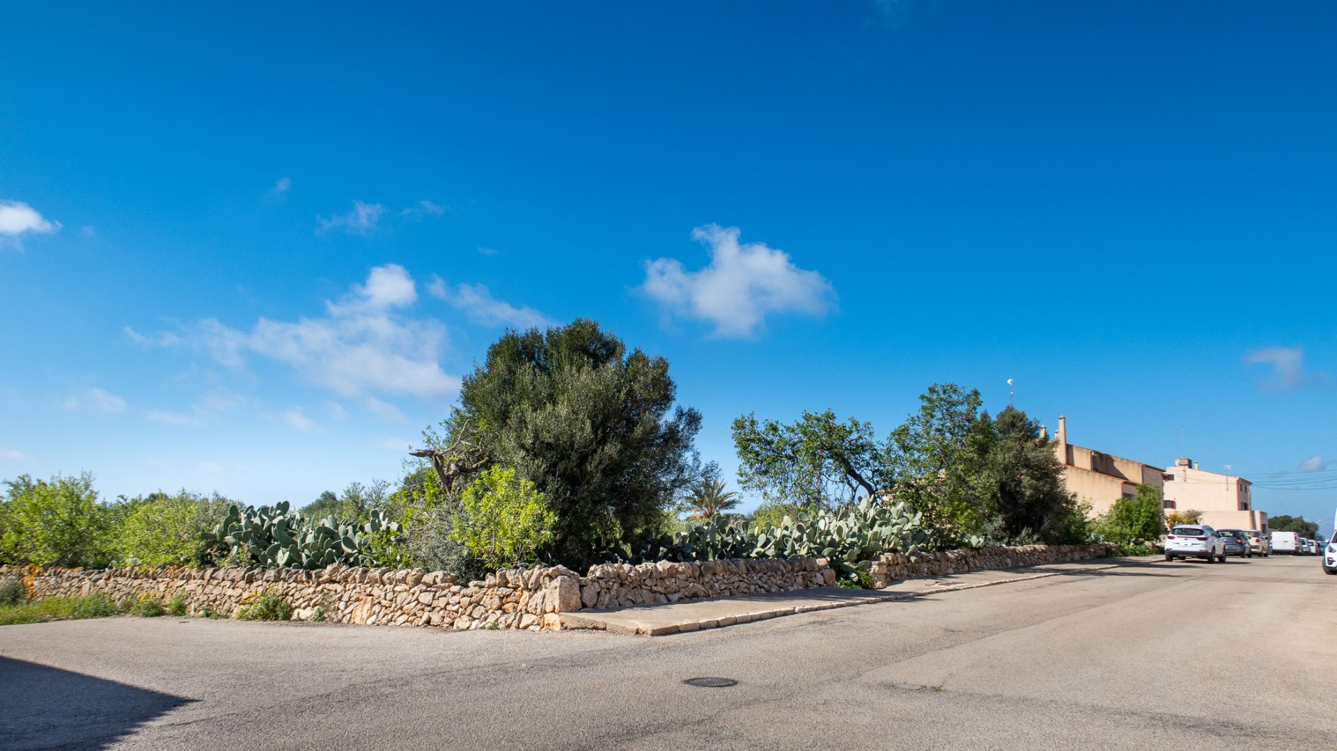 Land plot à Ses Salines, Mallorca, Espagne 2490 m2 No. 36745