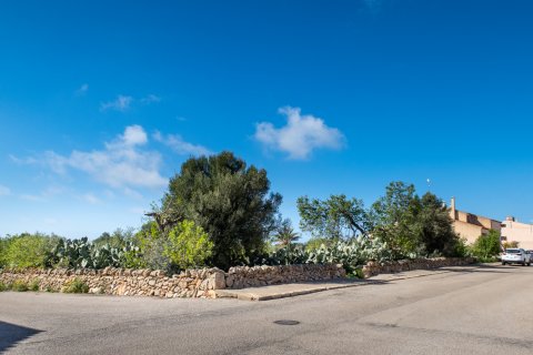 Działka Ses Salines, Mallorca, Hiszpania 2490 mkw. nr 36745 – zdjęcie 6