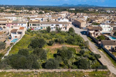 Działka Ses Salines, Mallorca, Hiszpania 2490 mkw. nr 36745 – zdjęcie 5