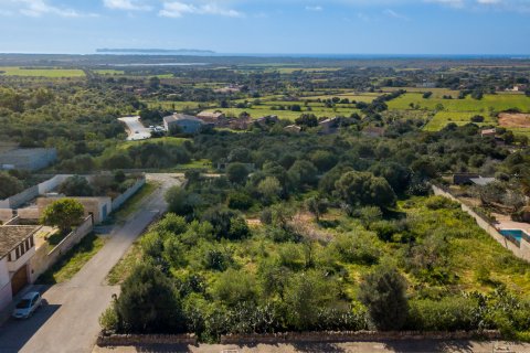 Działka Ses Salines, Mallorca, Hiszpania 2490 mkw. nr 36745 – zdjęcie 4