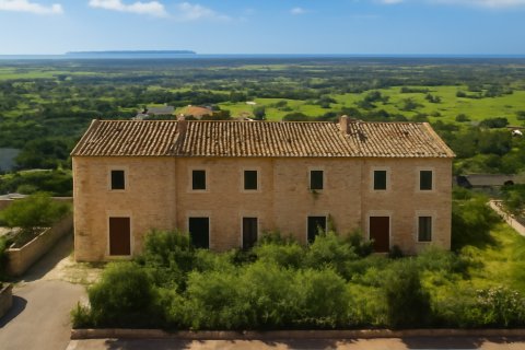 Działka Ses Salines, Mallorca, Hiszpania 2490 mkw. nr 36745 – zdjęcie 1