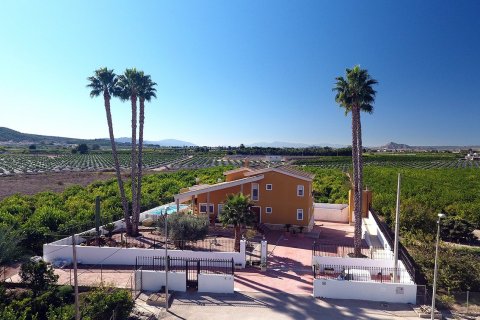 Finca myytävänä Orihuela, Alicante, Espanja, 5 makuuhuonetta, 495 m2 No. 125668 - kuva 3