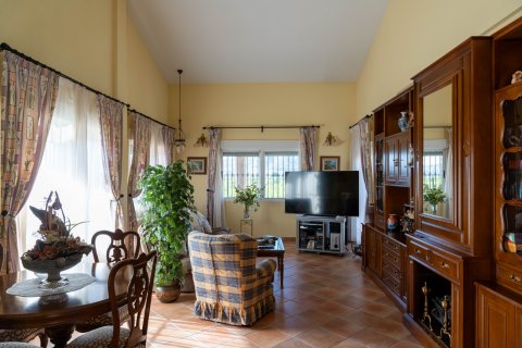 Finca myytävänä Orihuela, Alicante, Espanja, 5 makuuhuonetta, 495 m2 No. 125668 - kuva 15