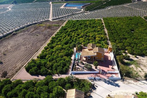 Finca for sale in Orihuela, Alicante, Spain 5 bedrooms, 495 sq.m. No. 125668 - photo 27