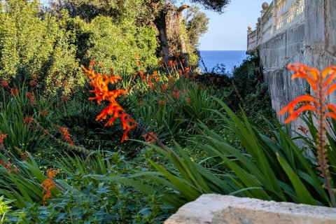 Villa in vendita Cala Llombards, Mallorca, Spagna 2 camere da letto, 96 mq. N° 128268 - foto 15