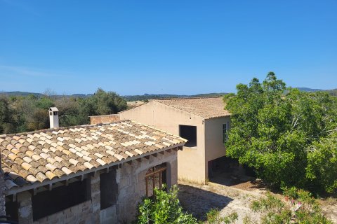 Finca for sale Porreres, Mallorca, Spain 8 bedrooms, 1777 sq.m. No. 128233 - photo 3