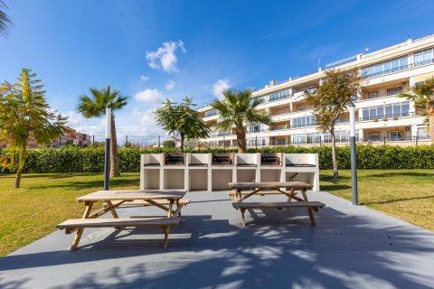 Apartament Playa Flamenca II, Alicante, Hiszpania 2 sypialnie, 75 mkw. nr 129378 – zdjęcie 24