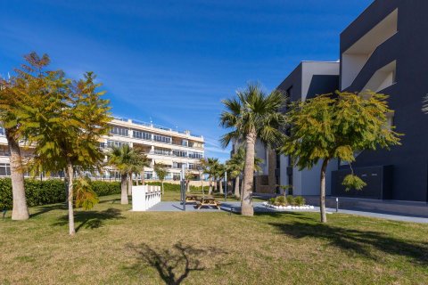 Apartament Playa Flamenca II, Alicante, Hiszpania 2 sypialnie, 75 mkw. nr 129378 – zdjęcie 25