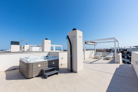 Apartament Playa Flamenca II, Alicante, Hiszpania 2 sypialnie, 75 mkw. nr 129378 – zdjęcie 18
