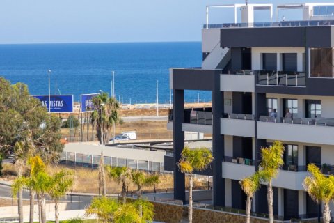 Apartament Playa Flamenca II, Alicante, Hiszpania 2 sypialnie, 75 mkw. nr 129378 – zdjęcie 19