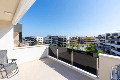 Apartament Playa Flamenca II, Alicante, Hiszpania 2 sypialnie, 75 mkw. nr 129378 – zdjęcie 16