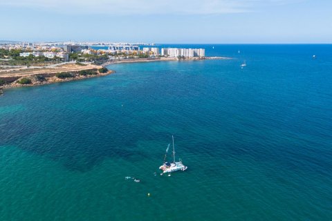 Apartament Playa Flamenca II, Alicante, Hiszpania 2 sypialnie, 75 mkw. nr 129378 – zdjęcie 22