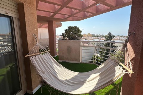 Apartament Torrevieja, Alicante, Hiszpania 2 sypialnie, 120 mkw. nr 129074 – zdjęcie 12