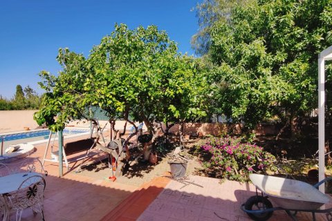 Villa in vendita Los Balcones, Alicante, Spagna 3 camere da letto, 256 mq. N° 129072 - foto 6