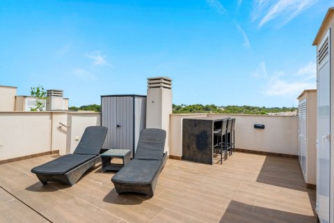 Bungalow zum Verkauf Torrevieja, Alicante, Spanien 2 Schlafzimmer, 63 m2 Nr. 125730 - Foto 24