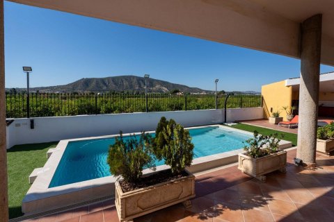 Villa zum Verkauf Alicante, Spanien 5 Schlafzimmer, 495 m2 Nr. 125402 - Foto 6