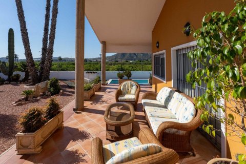 Villa zum Verkauf Alicante, Spanien 5 Schlafzimmer, 495 m2 Nr. 125402 - Foto 11