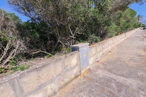Land plot for sale S'estanyol, Mallorca, Spain 402 sq.m. No. 128261 - photo 3