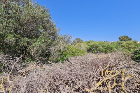 Land plot for sale S'estanyol, Mallorca, Spain 402 sq.m. No. 128261 - photo 1