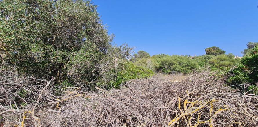 Land plot S'estanyol, Mallorca, Spain 402 sq.m. No. 128261