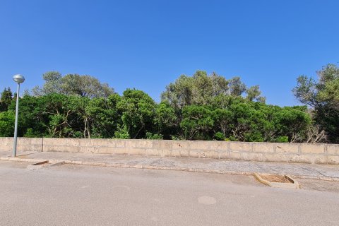 Land plot for sale S'estanyol, Mallorca, Spain 402 sq.m. No. 128261 - photo 5