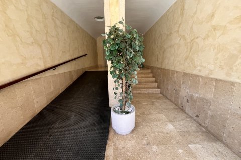 Apartment for sale Almoradi, Alicante, Spain 4 bedrooms, 120 sq.m. No. 129621 - photo 29