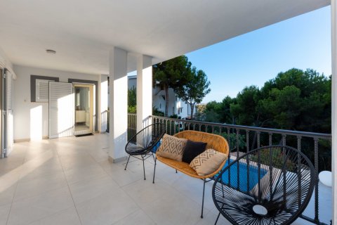 Villa for rent Peguera, Mallorca, Spain 5 bedrooms, 264 sq.m. No. 128084 - photo 15