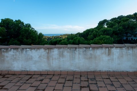 Villa for rent Peguera, Mallorca, Spain 5 bedrooms, 264 sq.m. No. 128084 - photo 24
