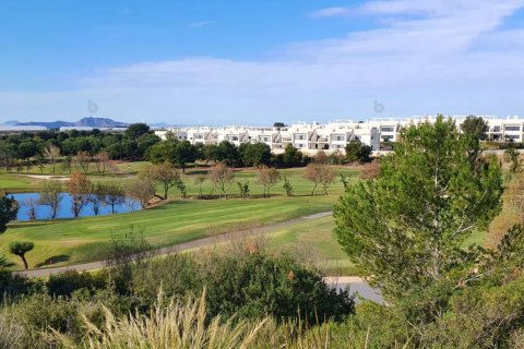 Apartamento en venta Pilar de la Horadada, Alicante, España 3 dormitorios, 149 m2 No. 132392 - foto 2