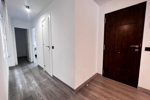 Appartamento in vendita Torrevieja, Alicante, Spagna 3 camere da letto, 105 mq. N° 125271 - foto 14