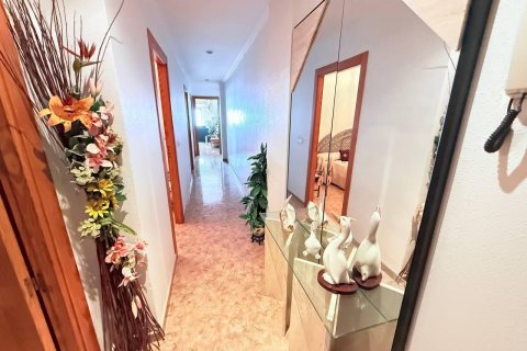 Apartment for sale La Mata, Alicante, Spain 3 bedrooms, 100 sq.m. No. 125274 - photo 18